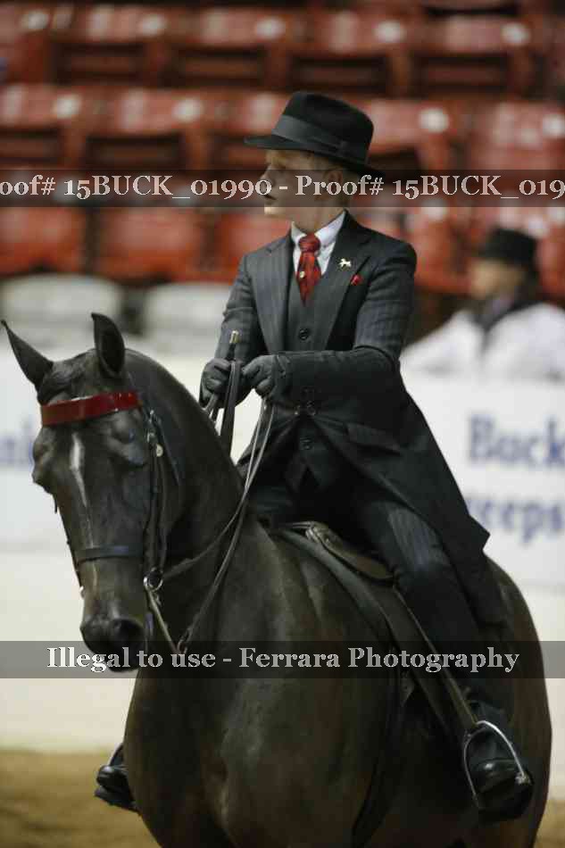 Proof Number 15BUCK_01990