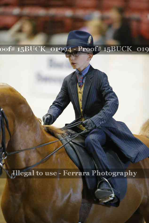Proof Number 15BUCK_01994