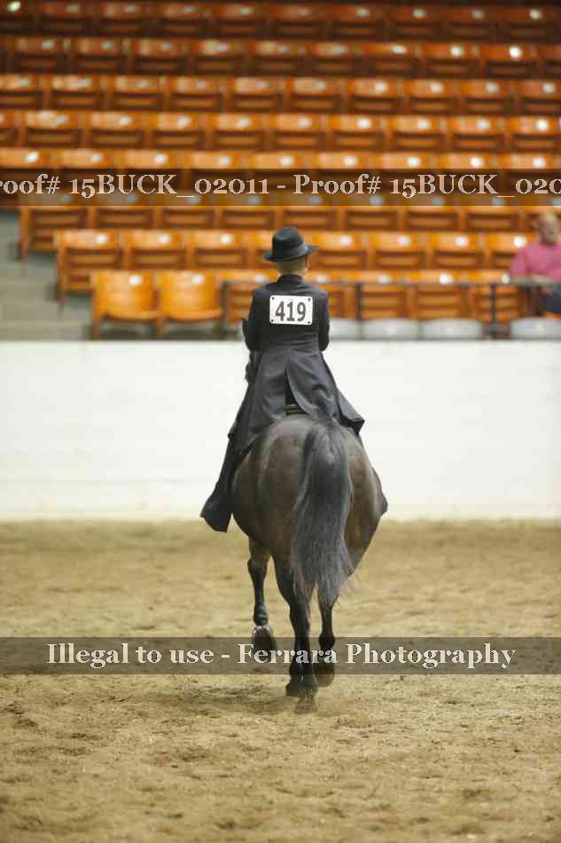 Proof Number 15BUCK_02011