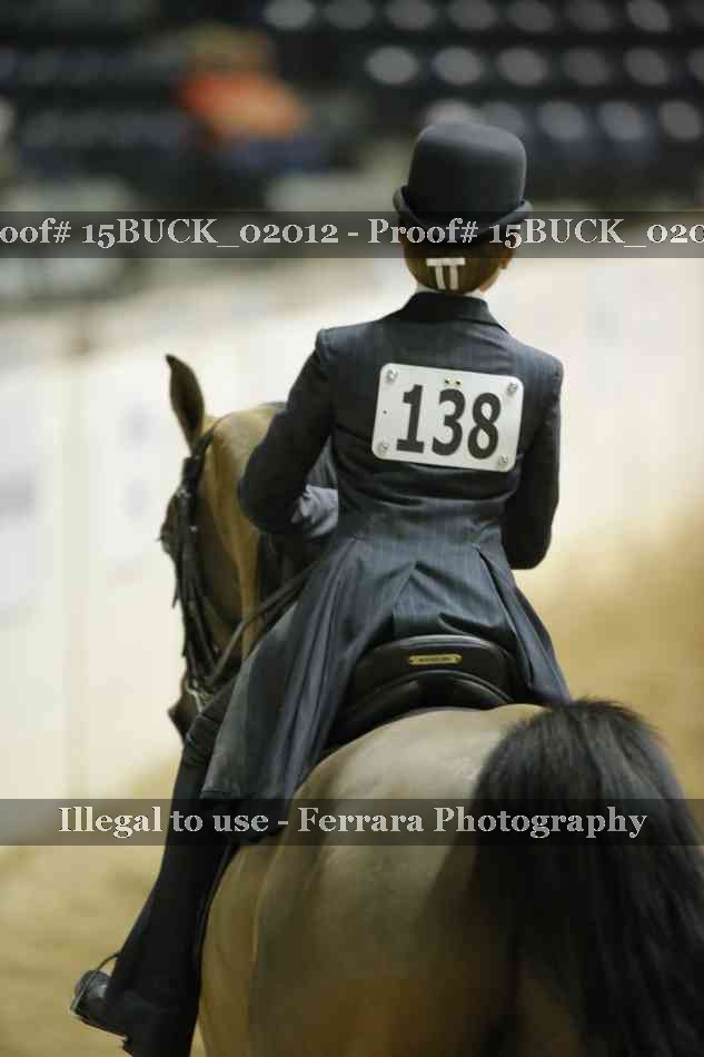 Proof Number 15BUCK_02012