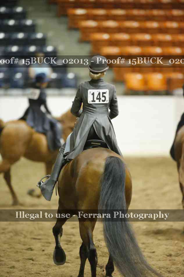 Proof Number 15BUCK_02013