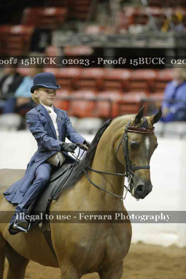 Proof Number 15BUCK_02023