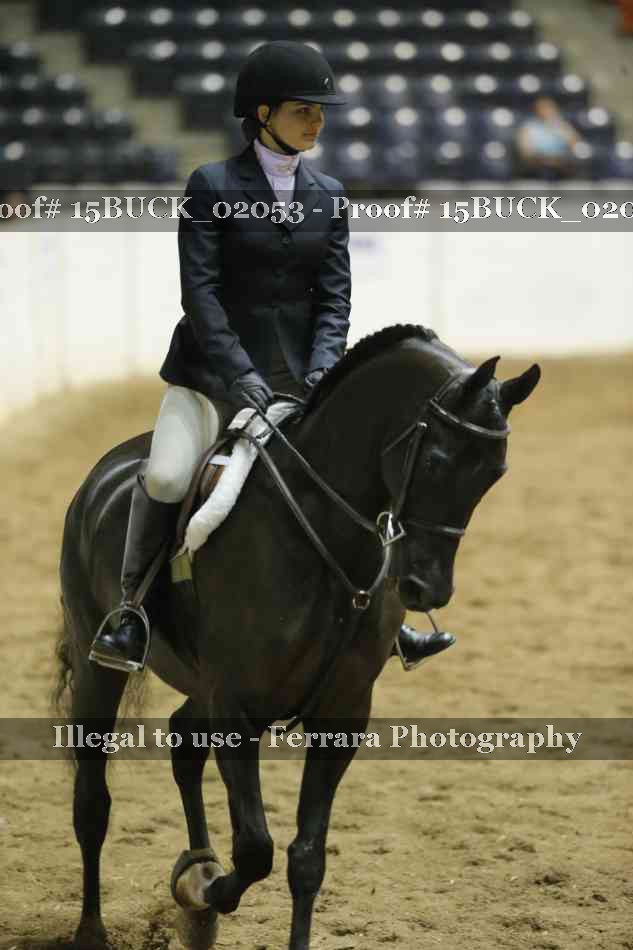 Proof Number 15BUCK_02053