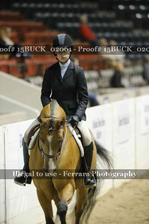 Proof Number 15BUCK_02061