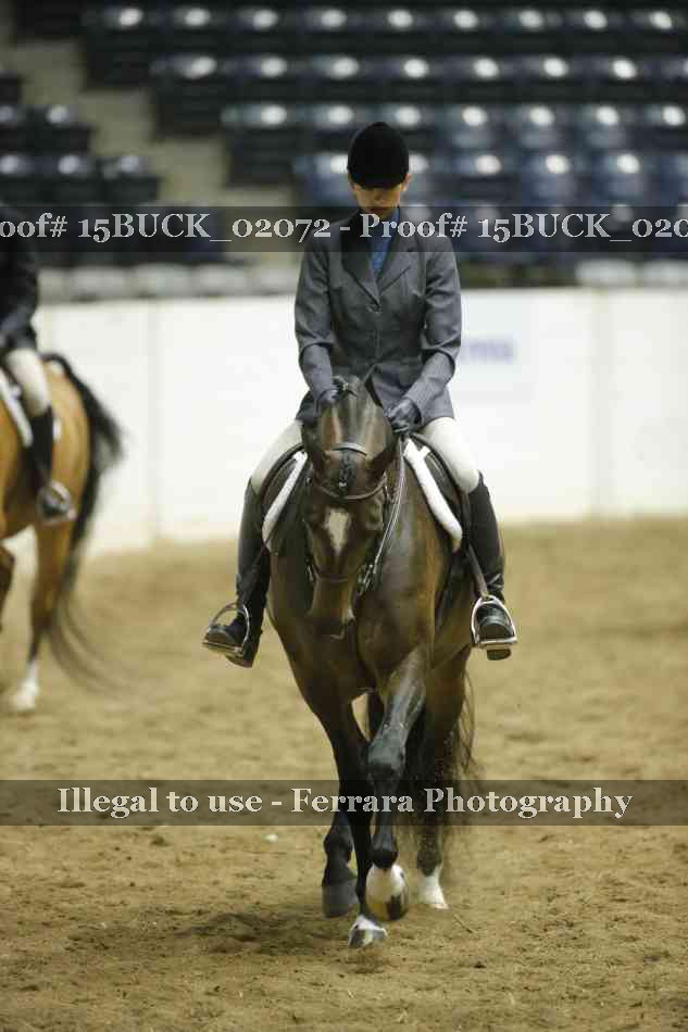 Proof Number 15BUCK_02072
