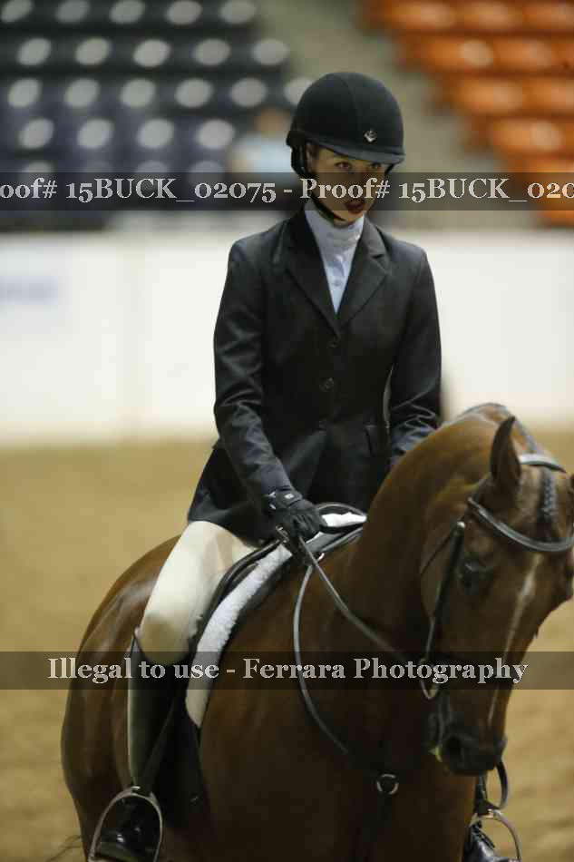 Proof Number 15BUCK_02075