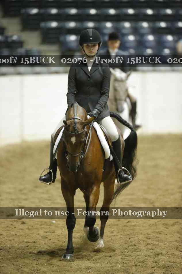 Proof Number 15BUCK_02076