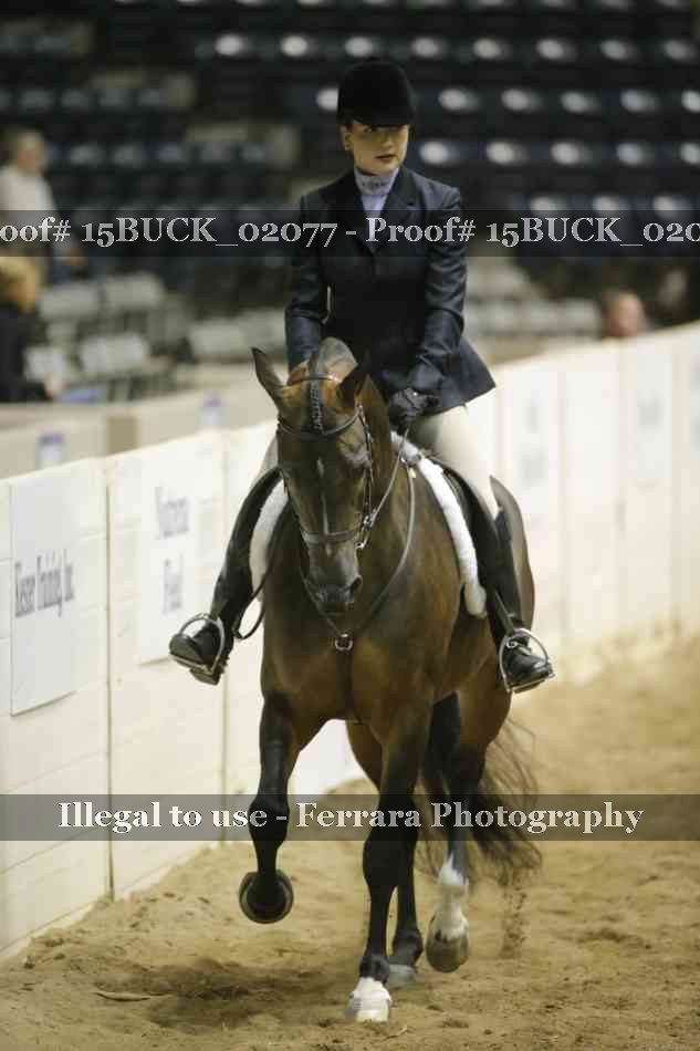 Proof Number 15BUCK_02077