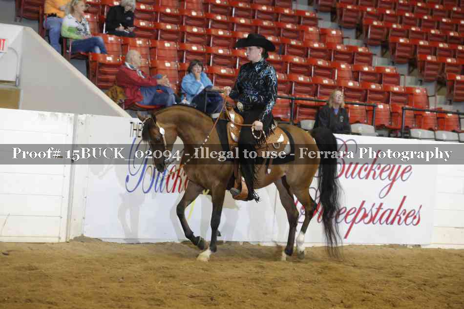Proof Number 15BUCK_02094