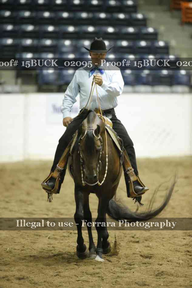 Proof Number 15BUCK_02095