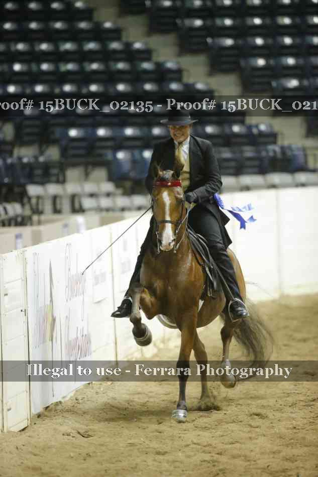 Proof Number 15BUCK_02135