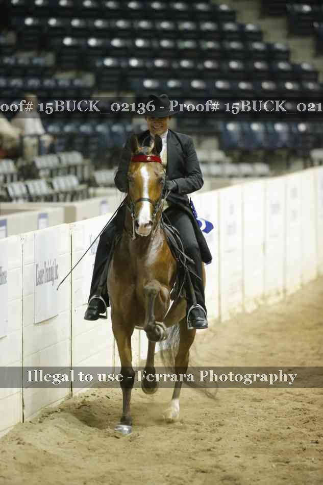 Proof Number 15BUCK_02136