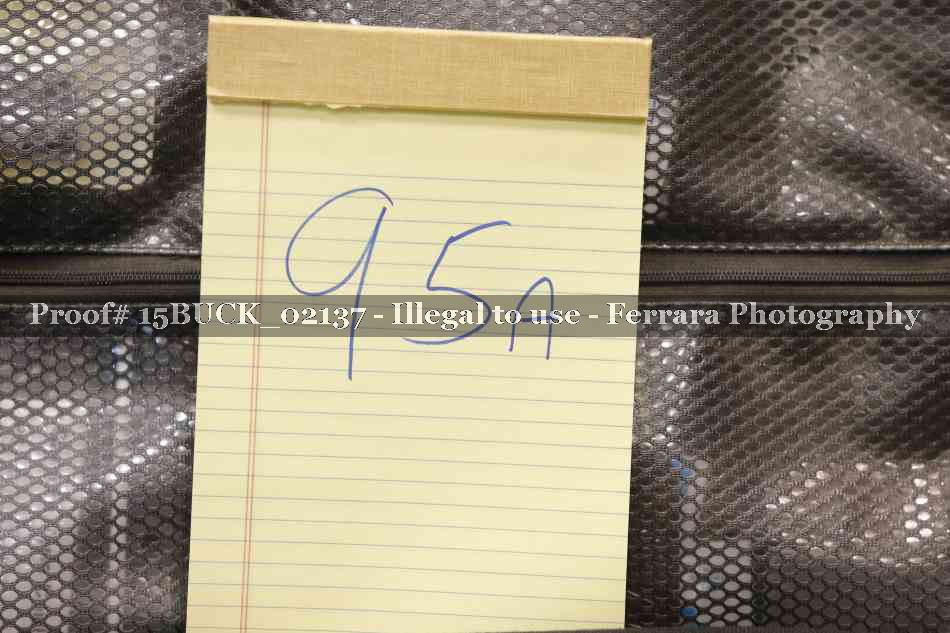 Proof Number 15BUCK_02137