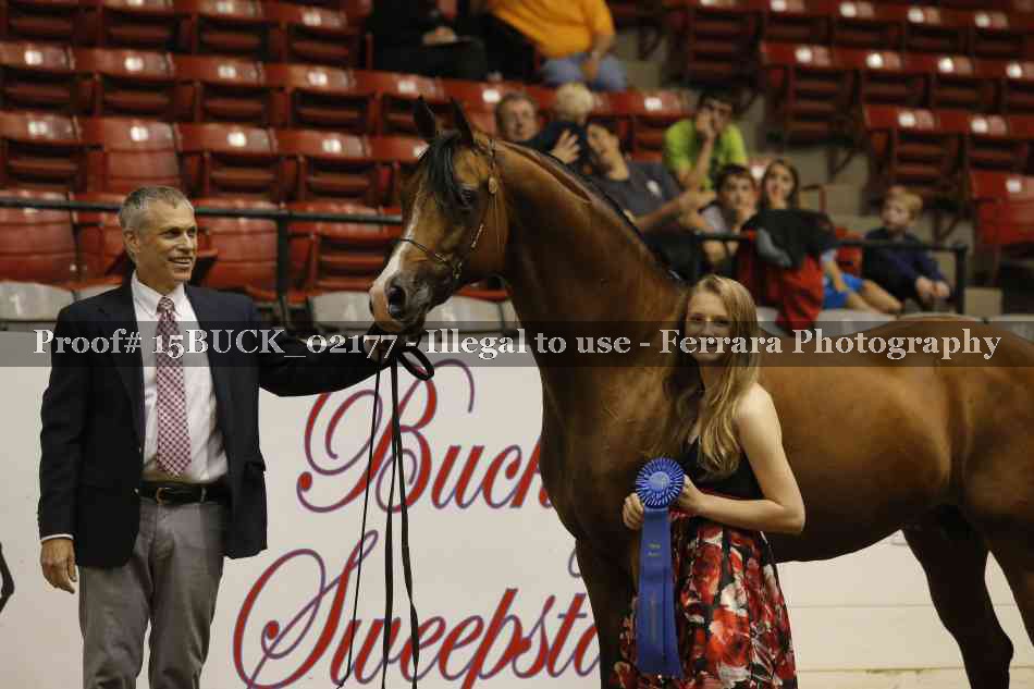 Proof Number 15BUCK_02177
