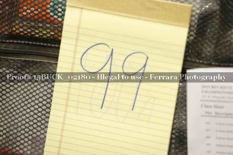 Proof Number 15BUCK_02180