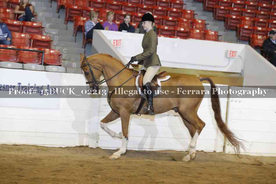 Proof Number 15BUCK_02213