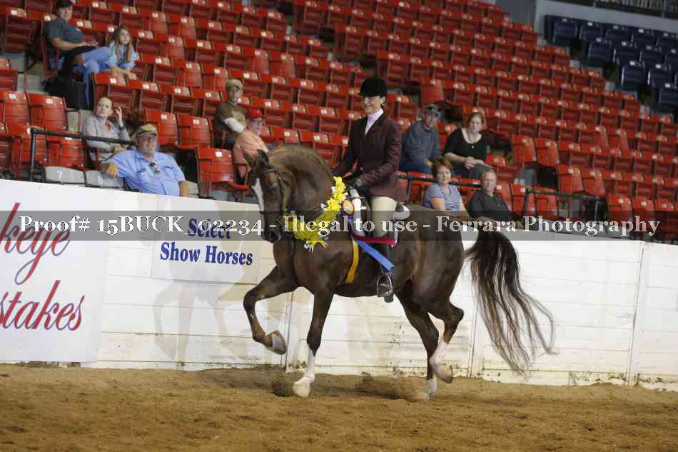 Proof Number 15BUCK_02234