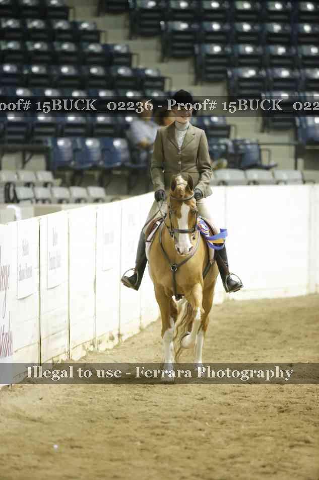 Proof Number 15BUCK_02236