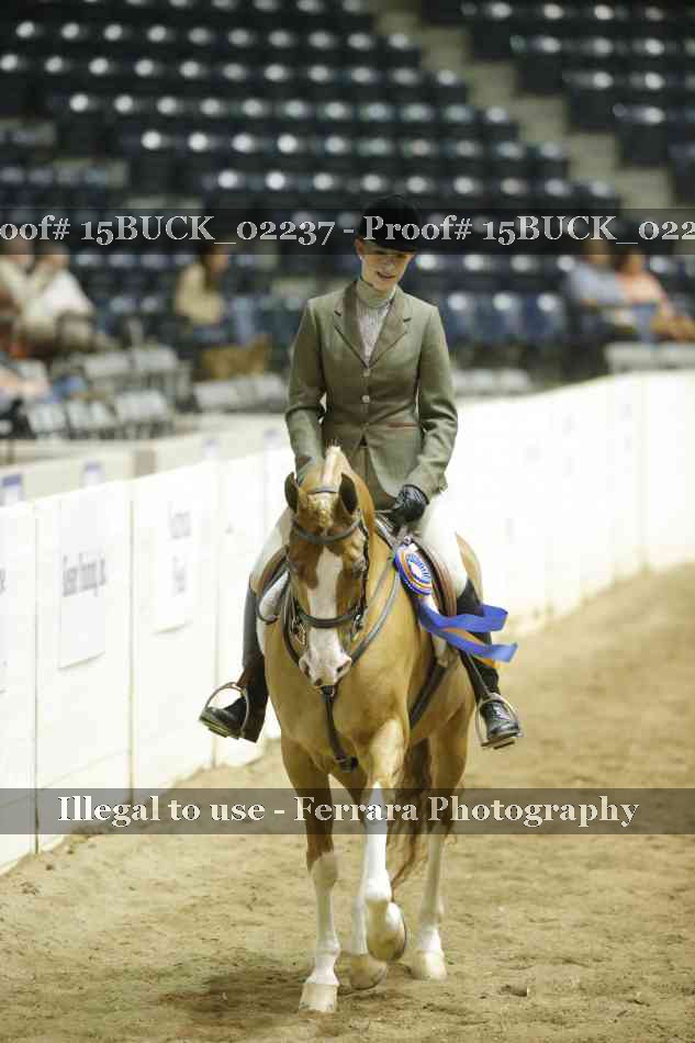 Proof Number 15BUCK_02237