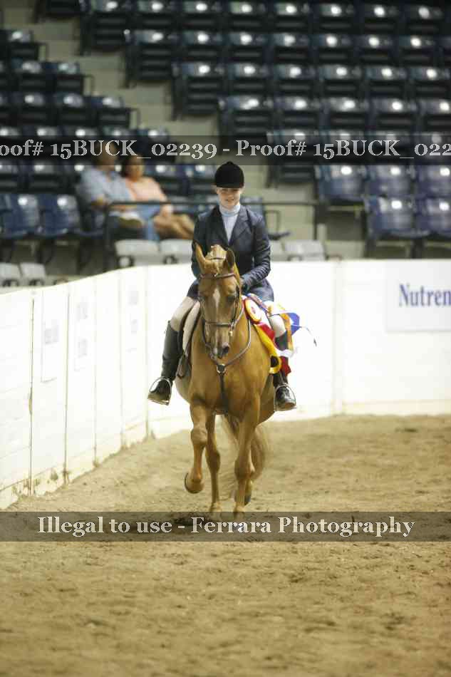 Proof Number 15BUCK_02239