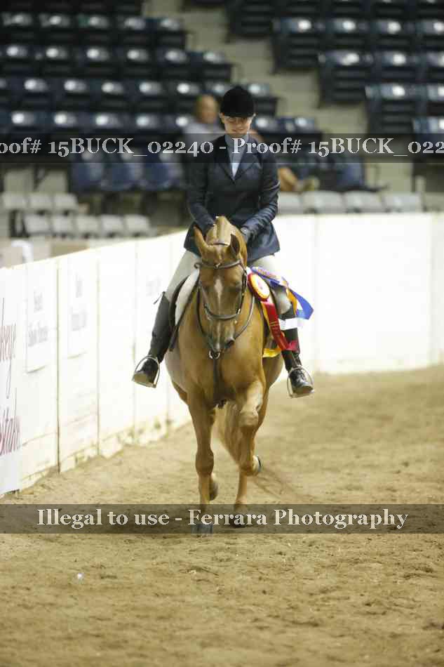 Proof Number 15BUCK_02240