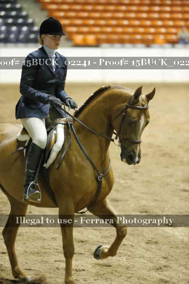 Proof Number 15BUCK_02241