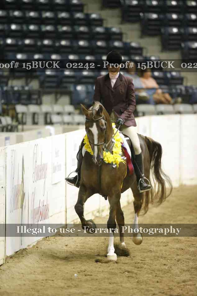 Proof Number 15BUCK_02242