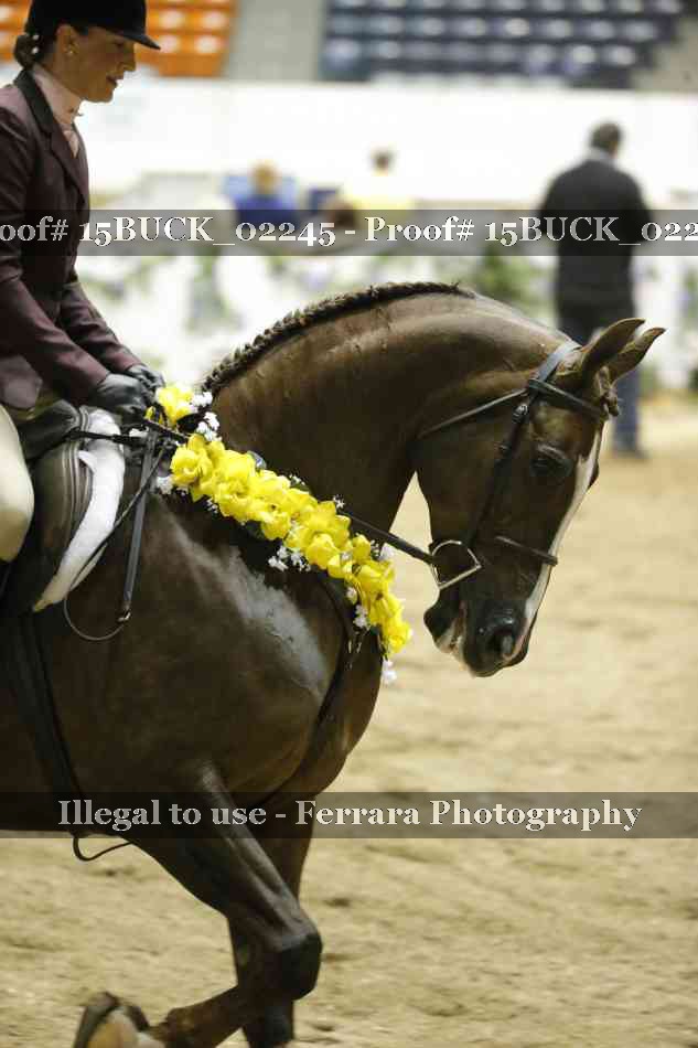 Proof Number 15BUCK_02245