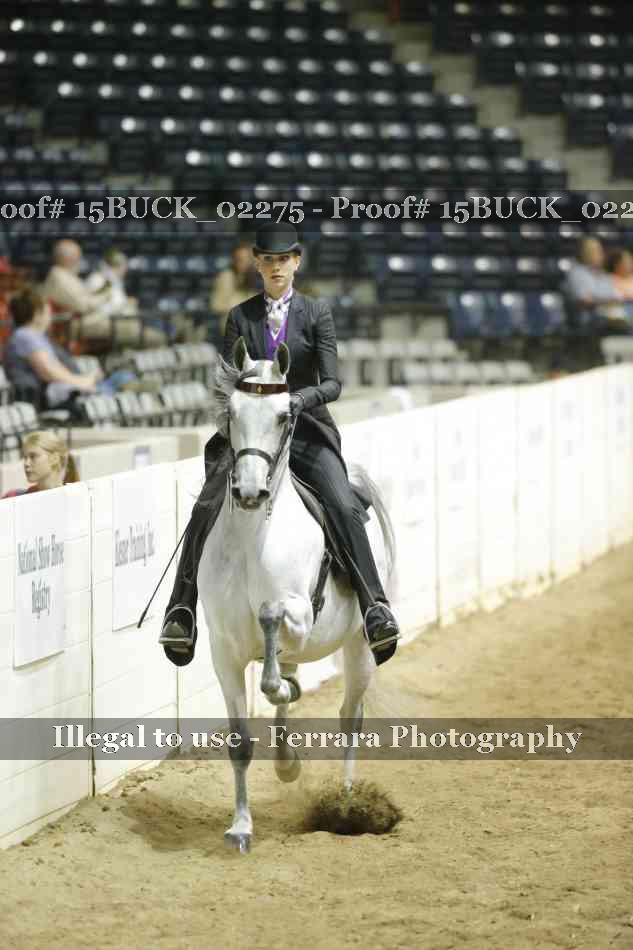 Proof Number 15BUCK_02275