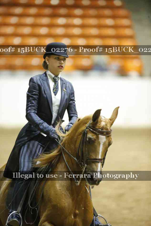 Proof Number 15BUCK_02276