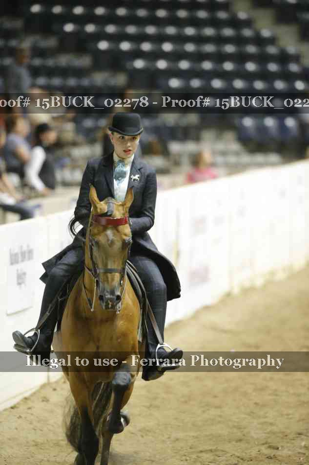 Proof Number 15BUCK_02278