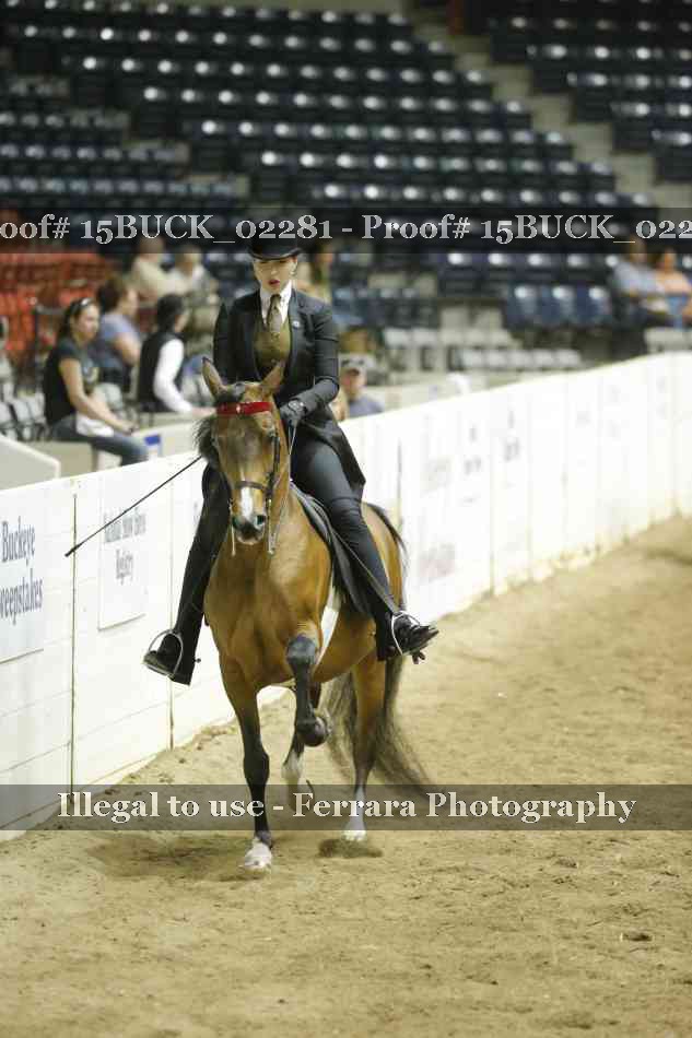 Proof Number 15BUCK_02281