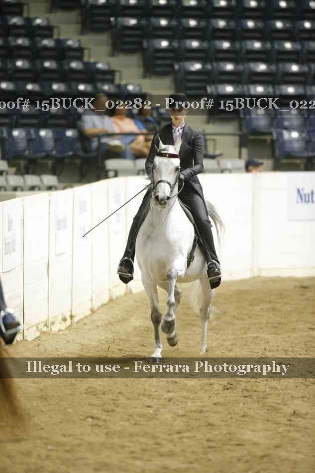 Proof Number 15BUCK_02282