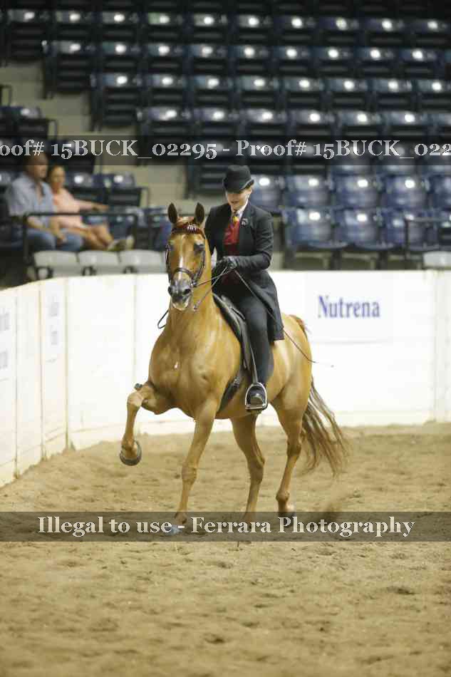 Proof Number 15BUCK_02295