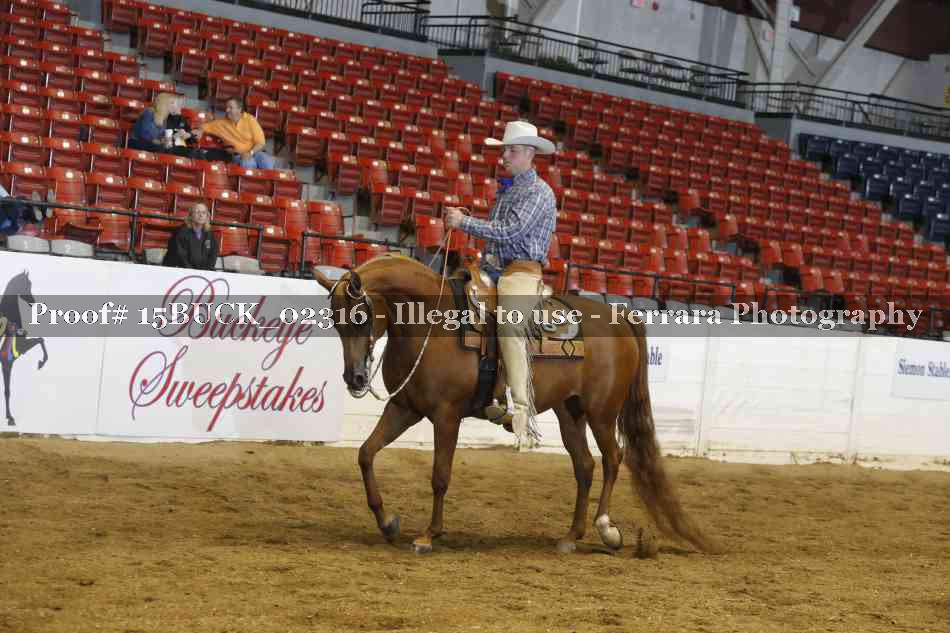 Proof Number 15BUCK_02316