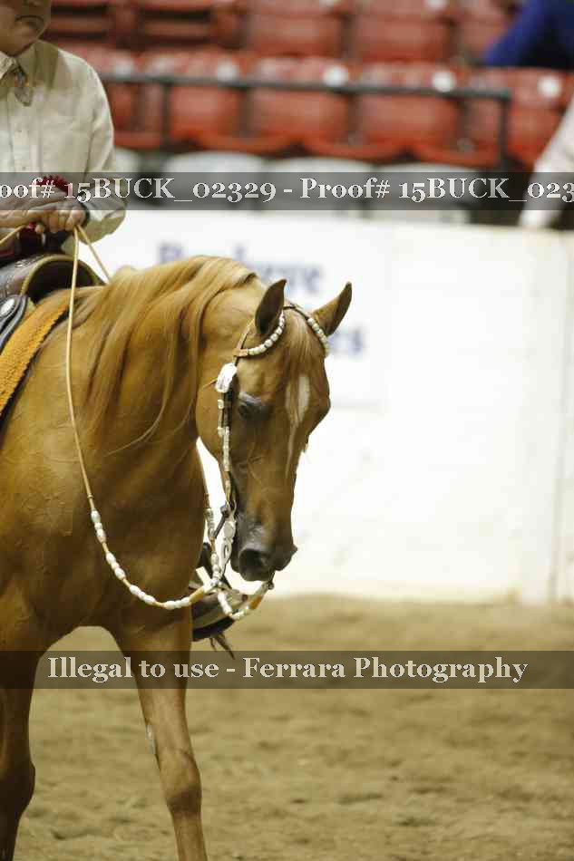Proof Number 15BUCK_02329