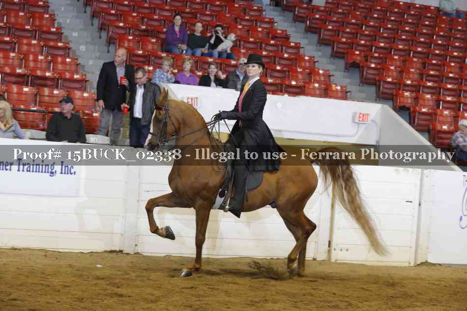Proof Number 15BUCK_02338