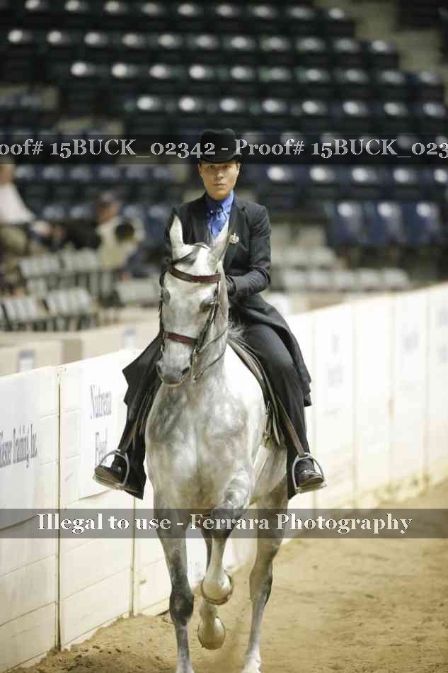 Proof Number 15BUCK_02342