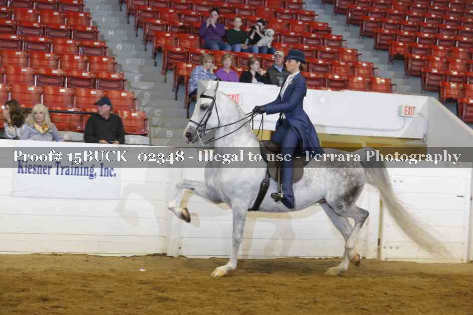 Proof Number 15BUCK_02348