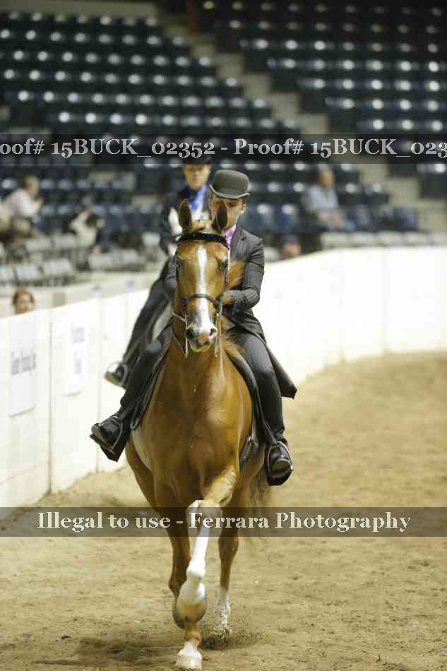 Proof Number 15BUCK_02352