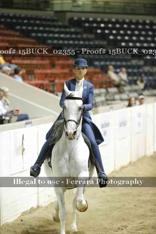 Proof Number 15BUCK_02355