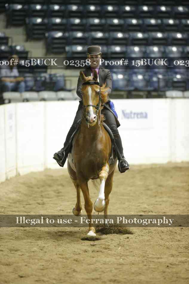 Proof Number 15BUCK_02358