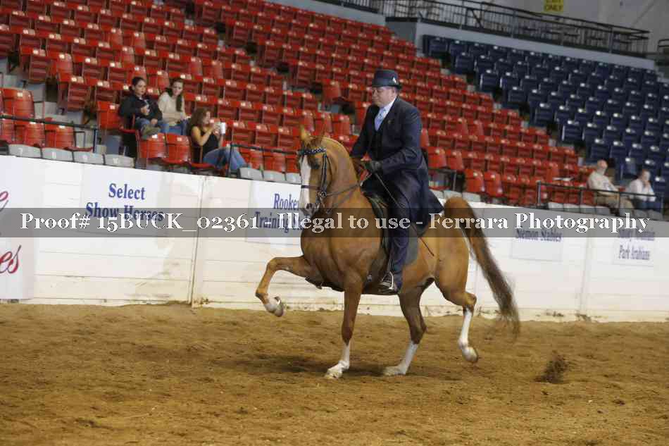 Proof Number 15BUCK_02361