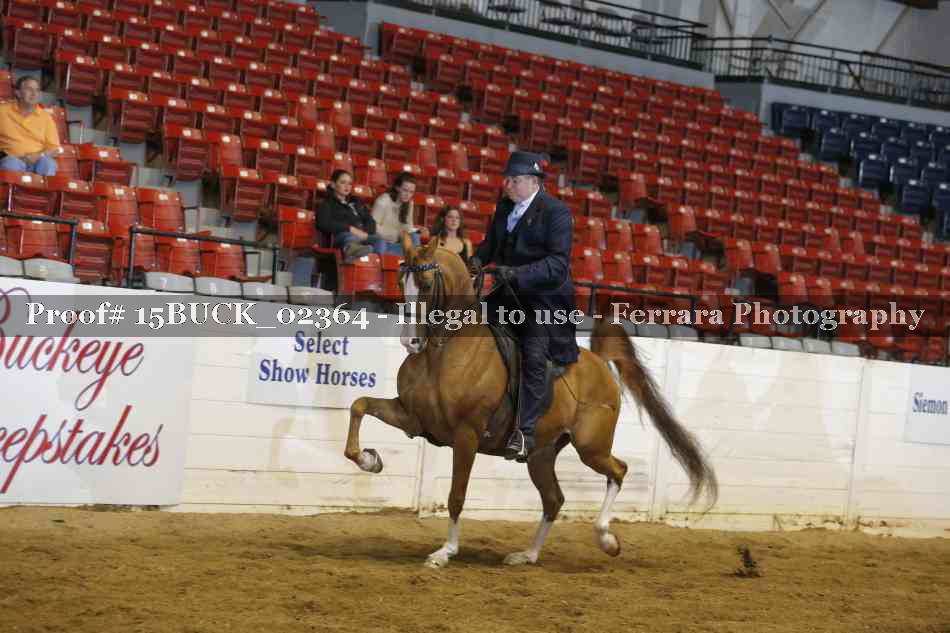 Proof Number 15BUCK_02364