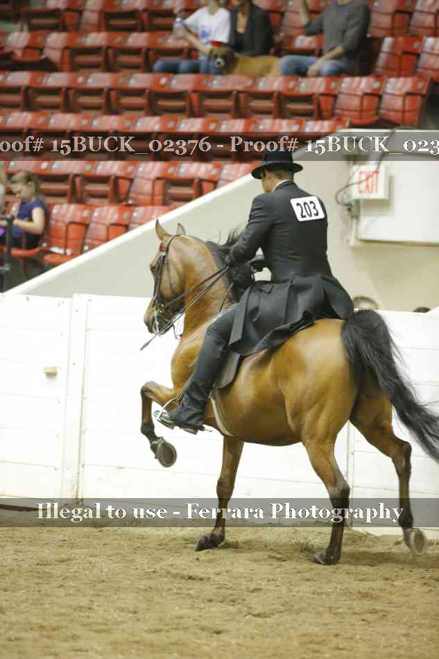 Proof Number 15BUCK_02376