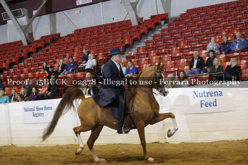 Proof Number 15BUCK_02378