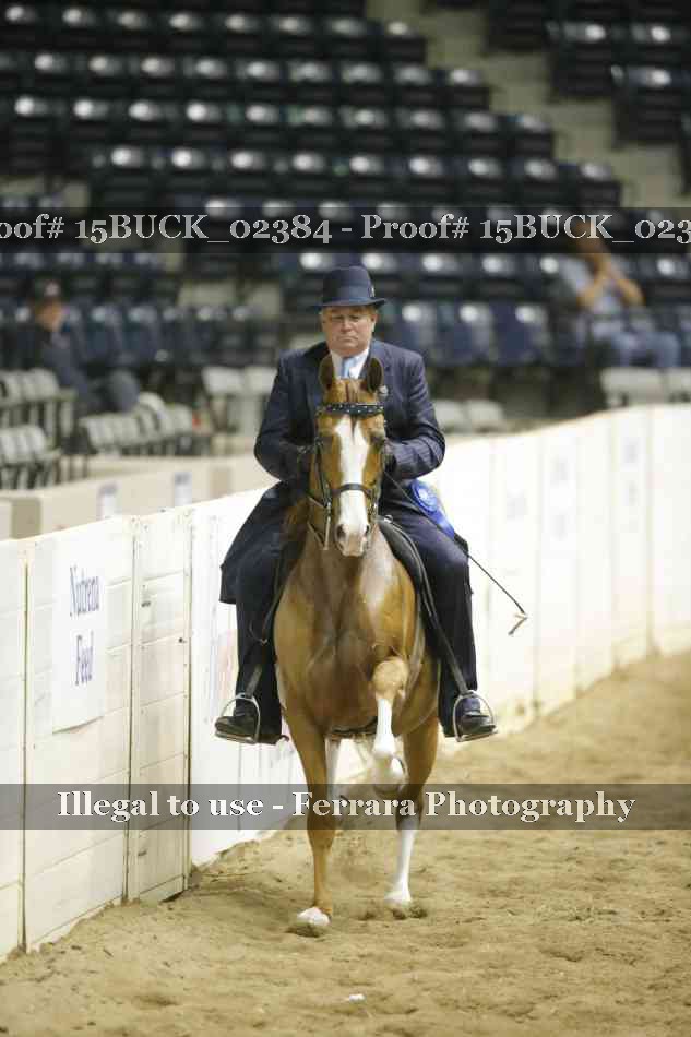 Proof Number 15BUCK_02384