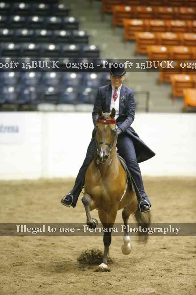 Proof Number 15BUCK_02394