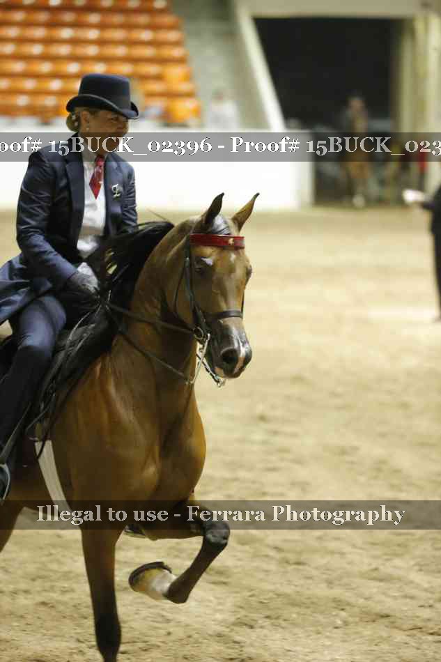 Proof Number 15BUCK_02396