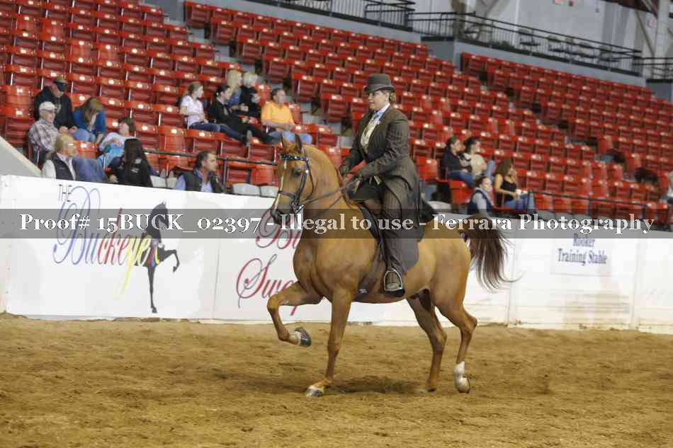 Proof Number 15BUCK_02397